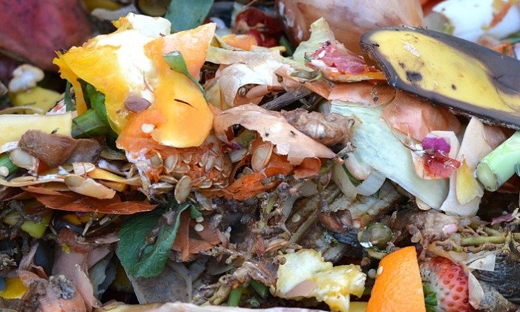 restos de fruta, verdura y vegetales para descomponer y hacer compost