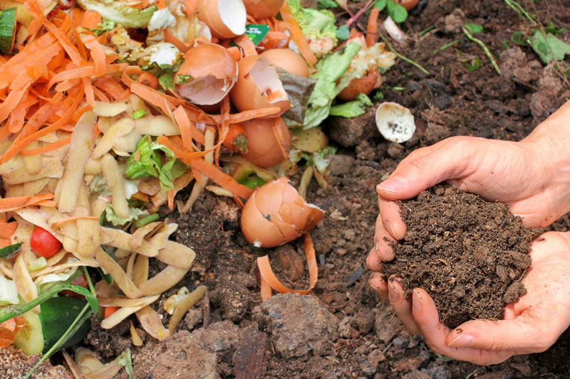 los 4 mejores trucos para acelerar el compost