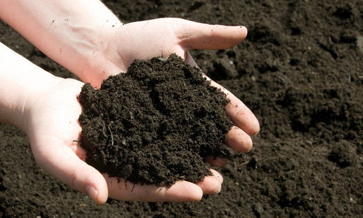 compost huerto fertilizante casero