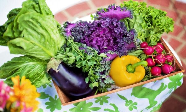 Cultiva-tus-propios-alimentos-y-disfruta-de-una-mejor-alimentacion